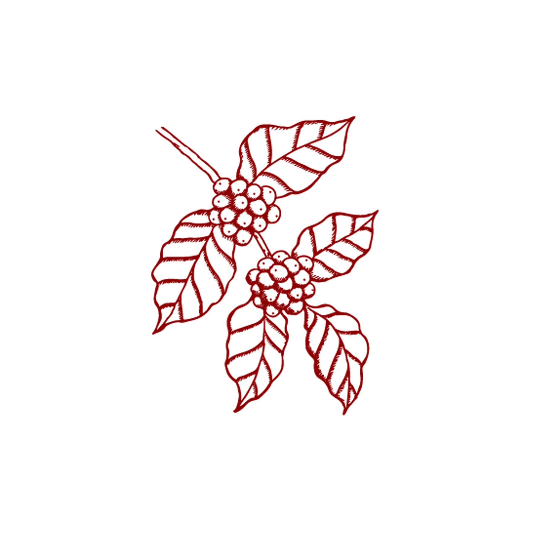 list item image