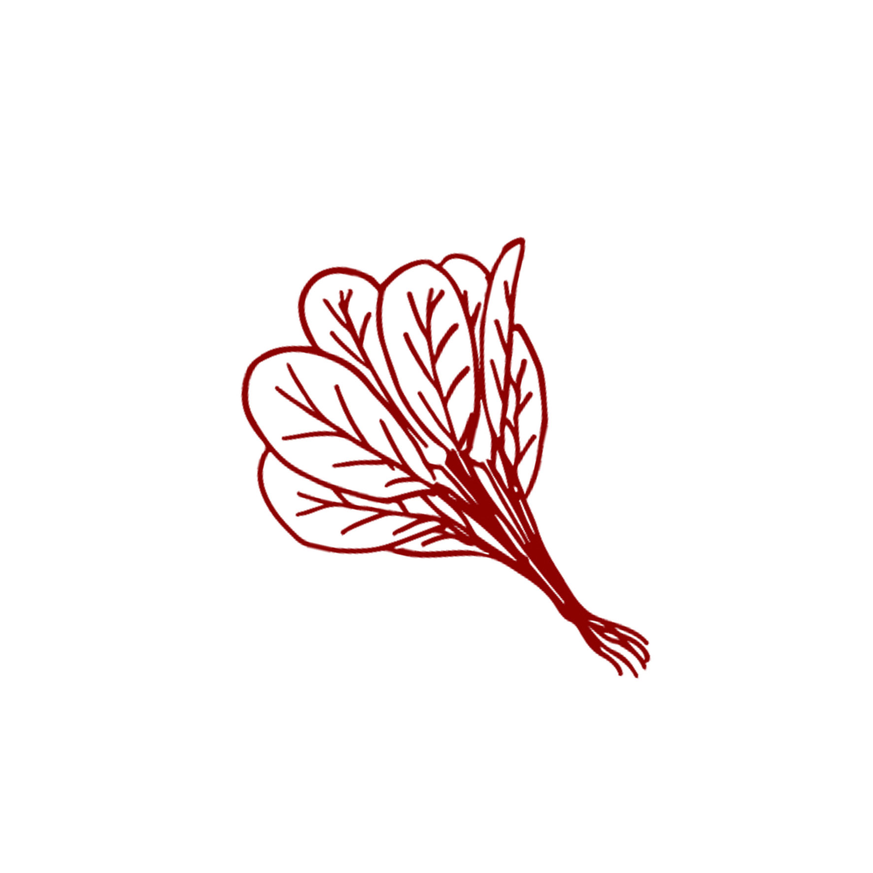 list item image